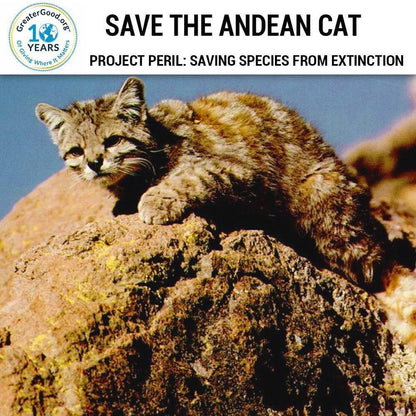 Donation - Project Peril: Help Save The Andean Cat