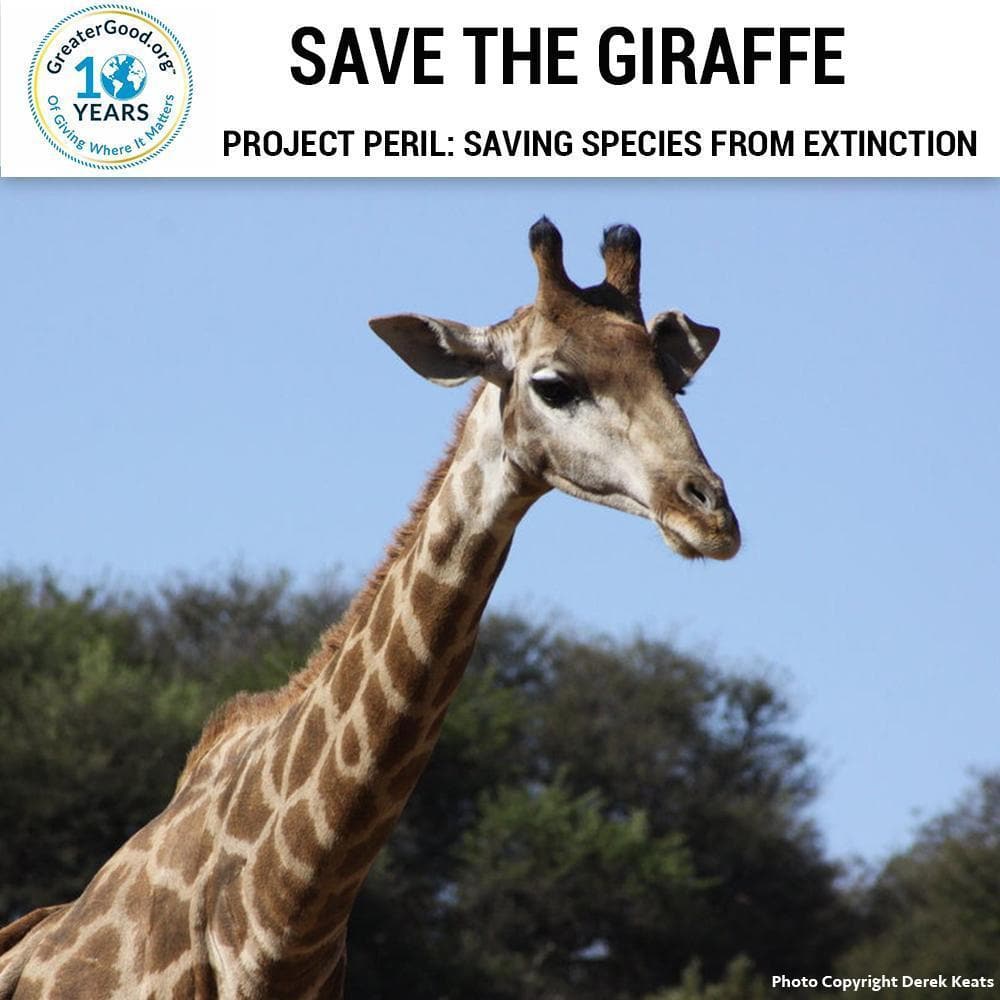 Donation - Project Peril: Help Save The Giraffe