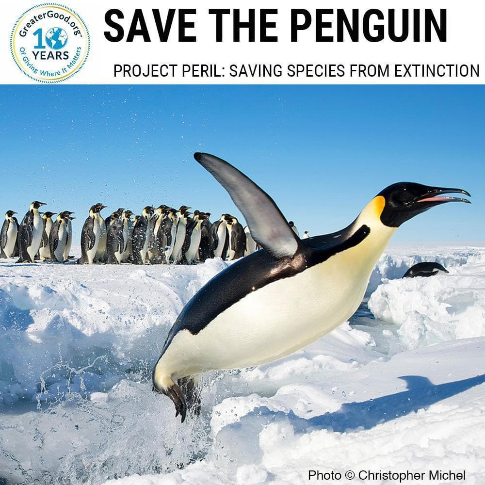 Donation - Project Peril: Help Save The Penguin